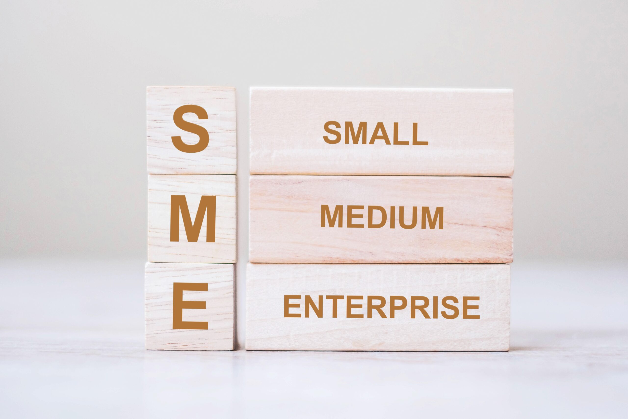 Streamlined Growth for MSMEs: A Holistic Guide to Registration, Accounting & MIS Reporting